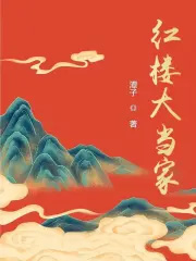 红楼大忽悠小说